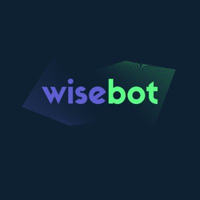 logo of Wisebot Ai