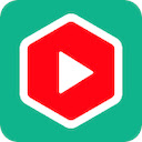 logo of YouTube Summary with ChatGPT